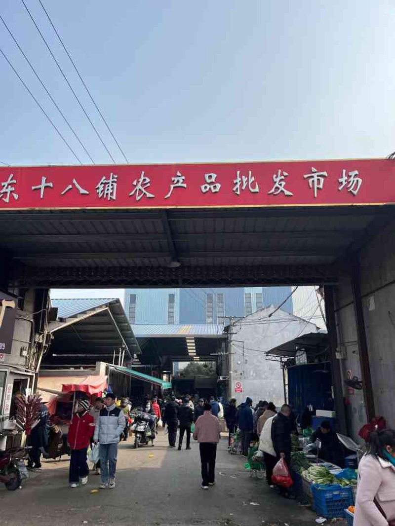 检验检疫服务在哪个行业？让我们一起来探究！