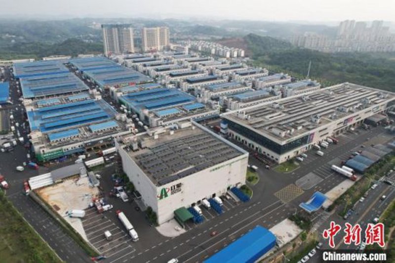 如何准确表达“服务”的英文？让我们一起学习一下吧！